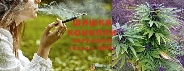 трава Кодинск