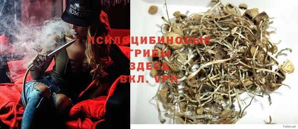 трава Кодинск